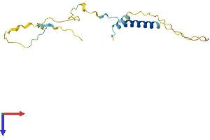 AlphaFold protein structure predicition of Human Recombinant IER3 Protein, UniprotID P46695