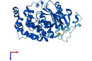 AlphaFold protein structure predicition of Mouse Recombinant Amz2 Protein, UniprotID Q400C8