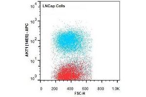 Flow Cytometry of Mouse anti-AKT1 antibody.