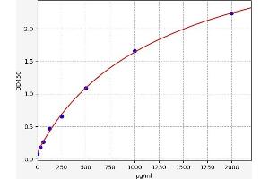 Cathepsin L1 (CTSL1) ELISA Kit
