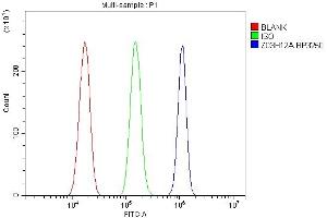 Flow Cytometry analysis of U87 cells using anti-MCPIP1/ZC3H12A antibody (ABIN7601482).