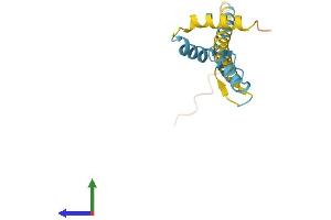 AlphaFold protein structure predicition of Human Recombinant ZNF818P Protein, UniprotID Q6ZRF7