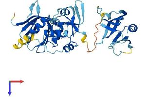 AlphaFold protein structure predicition of Mouse Recombinant Plek2 Protein, UniprotID Q9WV52