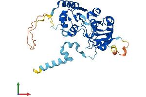 AlphaFold protein structure predicition of Human Recombinant CDC123 Protein, UniprotID O75794