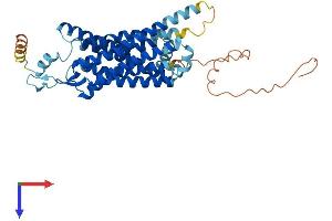 AlphaFold protein structure predicition of Mouse Recombinant Nmur2 Protein, UniprotID Q8BZ39