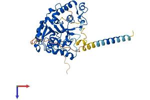 AlphaFold protein structure predicition of Mouse Recombinant Glt8d1 Protein, UniprotID Q6NSU3