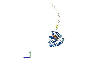 AlphaFold protein structure predicition of Mouse Recombinant Rab3c Protein, UniprotID P62823