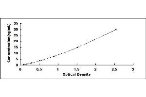Typical standard curve