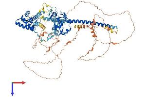 AlphaFold protein structure predicition of Human Recombinant JADE1 Protein, UniprotID Q6IE81