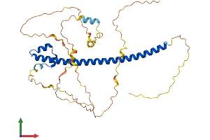 AlphaFold protein structure predicition of Human Recombinant MAFA Protein, UniprotID Q8NHW3
