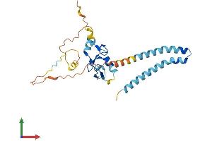 AlphaFold protein structure predicition of Mouse Recombinant Rnf182 Protein, UniprotID Q8C432