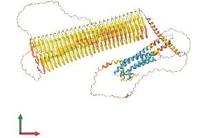 AlphaFold protein structure predicition of Mouse Recombinant Plin4 Protein, UniprotID O88492