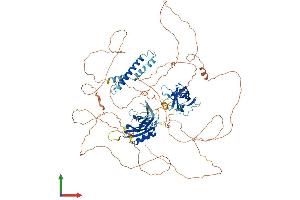 AlphaFold protein structure predicition of Mouse Recombinant Sytl2 Protein, UniprotID Q99N50