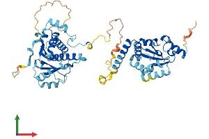 AlphaFold protein structure predicition of Mouse Recombinant Gdap2 Protein, UniprotID Q9DBL2