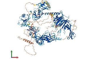 AlphaFold protein structure predicition of Human Recombinant USP47 Protein, UniprotID Q96K76