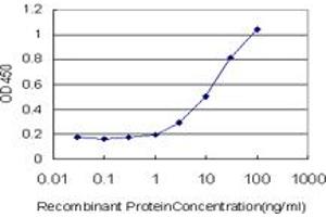 Detection limit for recombinant GST tagged MYO3A is approximately 1ng/ml as a capture antibody. (MYO3A anticorps  (AA 1400-1490))