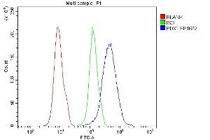 Flow Cytometry analysis of 293T cells using anti-PDX1 antibody (ABIN7601614).