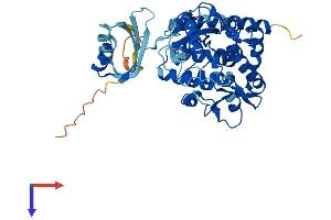 AlphaFold protein structure predicition of Human Recombinant TPH1 Protein, UniprotID P17752