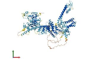 AlphaFold protein structure predicition of Mouse Recombinant Trpm4 Protein, UniprotID Q7TN37