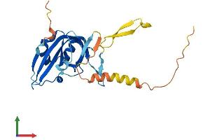 AlphaFold protein structure predicition of Mouse Recombinant Arpin Protein, UniprotID Q9D0A3