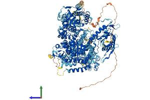 AlphaFold protein structure predicition of Human Recombinant AQR Protein, UniprotID O60306