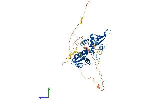 AlphaFold protein structure predicition of Human Recombinant MAGEA12 Protein, UniprotID P43365