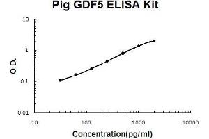 Pig GDF5 PicoKine ELISA Kit standard curve (GDF5 Kit ELISA)