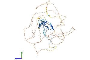 AlphaFold protein structure predicition of Human Recombinant NOLC1 Protein, UniprotID Q14978