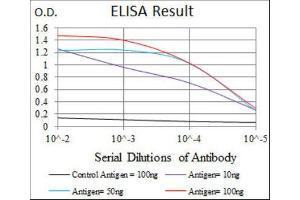 ELISA image for anti-delta-Like 4 (DLL4) antibody (ABIN1846319) (DLL4 anticorps)