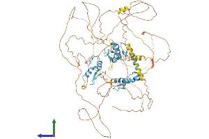 AlphaFold protein structure predicition of Human Recombinant BCL11A Protein, UniprotID Q9H165