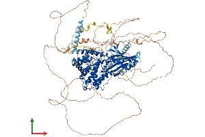 AlphaFold protein structure predicition of Human Recombinant STARD8 Protein, UniprotID Q92502