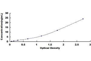 Typical Standard Curve (HLAG Kit ELISA)