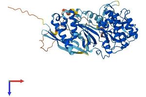 AlphaFold protein structure predicition of Mouse Recombinant Sgk3 Protein, UniprotID Q9ERE3