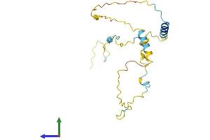 AlphaFold protein structure predicition of Human Recombinant FAM219A Protein, UniprotID Q8IW50
