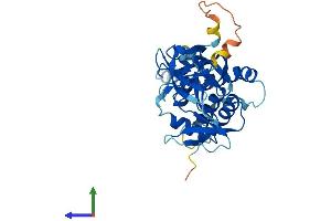 AlphaFold protein structure predicition of Mouse Recombinant Ncf4 Protein, UniprotID P97369
