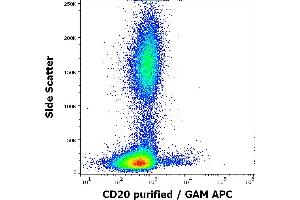 Flow cytometry surface staining pattern of human peripheral whole blood stained using anti-human CD20 (MEM-97) purified antibody (concentration in sample 1.