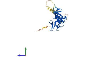 AlphaFold protein structure predicition of Mouse Recombinant Klrb1 Protein, UniprotID Q0ZUP1