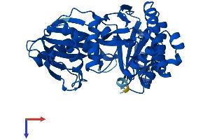 AlphaFold protein structure predicition of Human Recombinant GALK1 Protein, UniprotID P51570