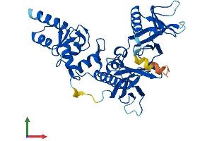 AlphaFold protein structure predicition of Mouse Recombinant Adap2 Protein, UniprotID Q8R2V5