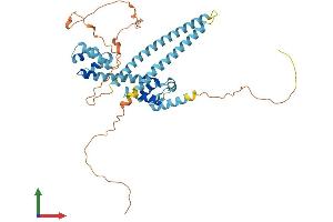 AlphaFold protein structure predicition of Mouse Recombinant Arc Protein, UniprotID Q9WV31