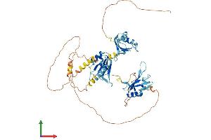 AlphaFold protein structure predicition of Human Recombinant CELF2 Protein, UniprotID O95319