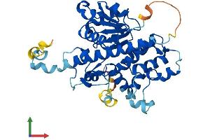 AlphaFold protein structure predicition of Mouse Recombinant Noxred1 Protein, UniprotID Q9D3S5