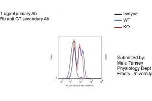 FACS -- Sample type: Bone marrow derived monocytes from mice BV2 cellsDilution: 1ug/mL