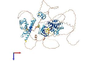 AlphaFold protein structure predicition of Mouse Recombinant Ksr1 Protein, UniprotID Q61097