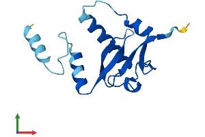AlphaFold protein structure predicition of Human Recombinant SNRNP25 Protein, UniprotID Q9BV90