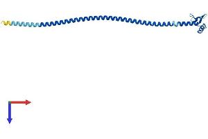 AlphaFold protein structure predicition of Human Recombinant SPC24 Protein, UniprotID Q8NBT2