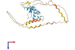 AlphaFold protein structure predicition of Human Recombinant KLF16 Protein, UniprotID Q9BXK1