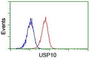 Image no. 6 for anti-Ubiquitin Specific Peptidase 10 (USP10) antibody (ABIN1501688)