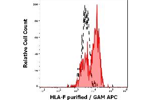 Separation of human activated lymphocytes stained using anti-human HLA-F (3D11) purified antibody (concentration in sample 5 μg/mL, GAM APC, red-filled) from human activated lymphocytes unstained by primary antibody (GAM APC, black-dashed) in flow cytometry analysis (surface staining) of human PMA + Ionomycin stimulated peripheral blood mononuclear cells. (HLA-F anticorps)