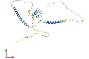 AlphaFold protein structure predicition of Human Recombinant LYSMD3 Protein, UniprotID Q7Z3D4